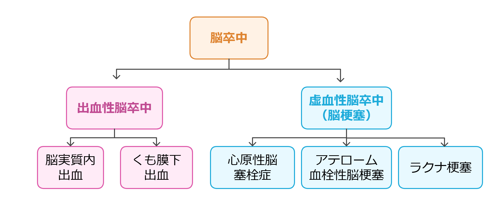 脳卒中とは? 正しい知識とリハビリの重要性<1> | Reeef 自費リハビリ